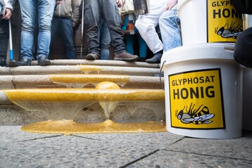 Der betroffene Imker Sebastian Seusing verschttete mehrere Eimer nicht-Glyphosat-belasteten Honig vor dem Gebude