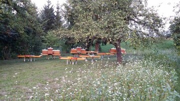 Imker gehren zur Landwirtschaft, stehen aber mit ihren Interessen und speziellen Bedrfnissen fr die Bienen meist fr sich.