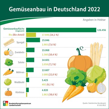 Gemseanbau in Deutschland 2022.