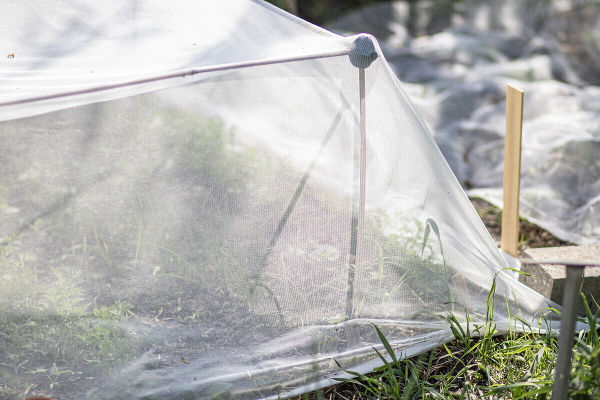 Gartennetz Gegen Insekten & Vögel – Feines Mesh Für Beete, Schützt Pflanzen Vor Schädlingen, Selbsttragend