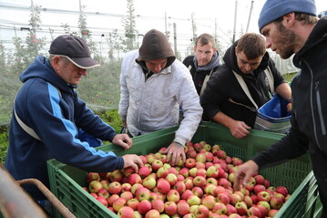 Die 20. internationale ECOFRUIT-Tagung liefert Impulse fr den ko-Obstbau.