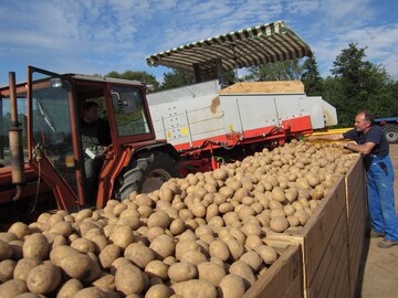 Nach guten Ertrgen im vergangenen Jahr ist fr das Jahr 2018 mit einer sehr kleinen Kartoffelernte in Deutschland zu rechnen.