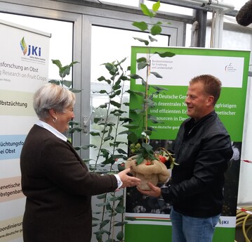 Die Leiterin des Julius-Khn-Instituts, Prof. Dr. Viola Hanke, bergibt Kreisfachberater Alexander Ego (LRA Biberach) den Urbaum-Klon des Jakob Fischer-Apfels