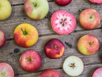  Ein starkes Bndnis fr Biologische Vielfalt: Verein Food for Biodiversity grndet sich 