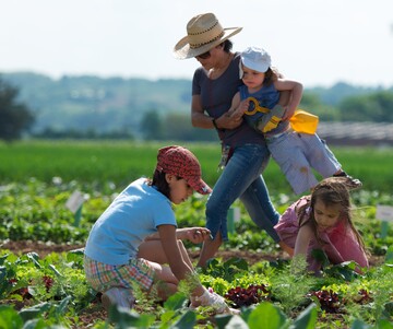 Mitmachen drfen Gartenprojekte und Initiativen, die Geflchtete mit einbeziehen