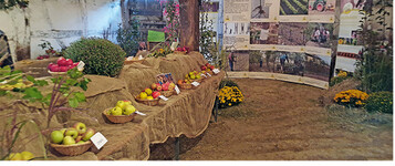 Im Freilichtmuseum in Beuren gab es eine bunte Sortenausstellung von rund 100 Tafel- und Streuobstsorten zu bestaunen.