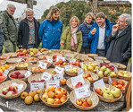 1 Obstverkostung bei der Auszeichnung zum Obstsortenparadies