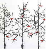 Schemazeichnung für den Spindelschnitt an Birnen. Das Formieren ist bei Apfelbäumen auf schwachwachsenden Unterlagen wie M27, M9 und M26 am einfachsten. Bei Birnen eignen sich auch mittelstarkwachsende Unterlagen wie Farold 40 oder BA 29 schwach. Bei Süßkirschen sind GiSelA 5 und GiSelA 6, bei Zwetschgen Wavit oder St. Julian günstig.