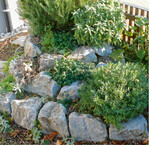 Kräuterspiralen lassen sich individuell gestalten und müssen nicht immer streng nach Anleitung gebaut werden. Wer sich näher informieren möchte, findet ausführliche Bauanleitungen zu Kräuterschnecken/-sprialen mit unterschiedlichsten Materialien in Gartenmagazinen, Büchern oder im Internet.