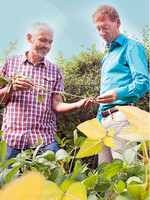 Zufrieden mit der ersten Ernte: Dr. Volker Hahn und Martin Miersch in einem der teilnehmenden Gärten der ersten Runde