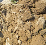 Sandboden trocknet im Frühjahr am schnellsten ab. Hier muss allerdings noch ein feinkrümeliges Saat- bzw. Pflanzbett hergestellt werden. Gründüngungen, Rasenschnitt und sonstige pflanzliche Materialien helfen beim Humusaufbau. Bei den frühen Kulturen sollte das Mulchen, wenn überhaupt, nur bei größeren Pflanzen durchgeführt werden. Denn durch die Isolierung der Mulchschicht verzögert sich die Bodenerwärmung.