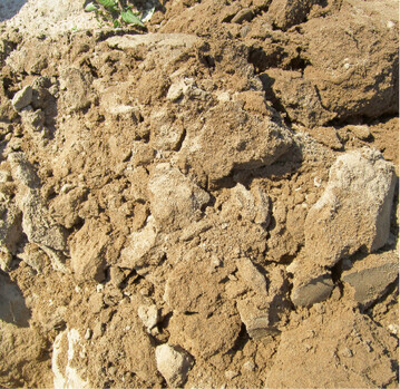 Sandboden trocknet im Frhjahr am schnellsten ab. Hier muss allerdings noch ein feinkrmeliges Saat- bzw. Pflanzbett hergestellt werden. Grndngungen, Rasenschnitt und sonstige pflanzliche Materialien helfen beim Humusaufbau. Bei den frhen Kulturen sollte das Mulchen, wenn berhaupt, nur bei greren Pflanzen durchgefhrt werden. Denn durch die Isolierung der Mulchschicht verzgert sich die Bodenerwrmung.