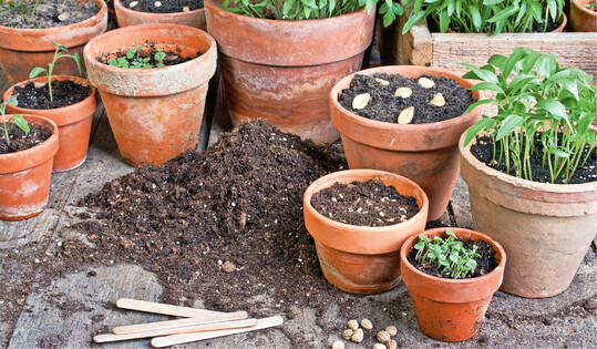 Es gibt viele Mglichkeiten, eine Plastikflut im Garten zu vermeiden. Eine davon ist die Verwendung von Tontpfen