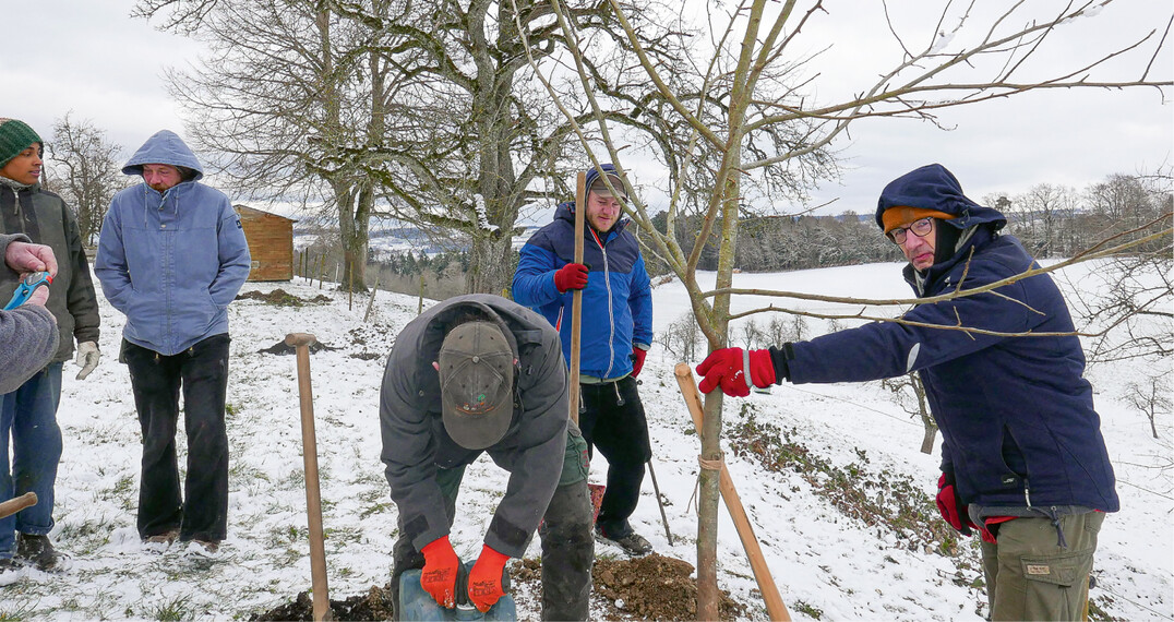 Baumschnittkurse finden in der kalten Jahreszeit statt da ist wetterangepasste Kleidung eine Voraussetzung für die Aufnahmefähigkeit