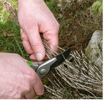 Ein gezielter Rückschnitt im Frühjahr hält mehrjährige Kräuter kompakt. Wenn sich Pilzkrankheiten wie Echter Mehltau oder Rost an mediterranen Kräutern ausbreiten (Rosmarin oder Salbei sind hier besonders gefährdet), können diese ganzjährig durch einen gezielten Rückschnitt oft noch gerettet werden. Nicht selten treiben die zurückgenommenen Pflanzen wieder gesund und kräftig aus.