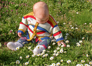  Im Garten entdecken Kinder von klein auf Pflanzen und Tiere 