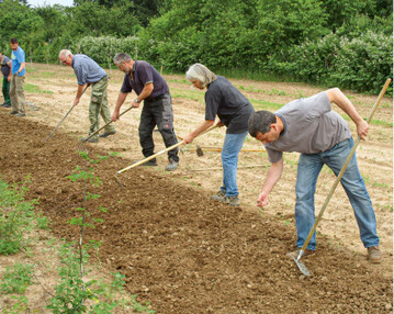  Im Team geht auch die Beetvorbereitung recht zgig voran, wie hier whrend eines Workshops des Kreisverbandes fr Obstbau, Garten und Landschaft Heidelberg e.V. im Sommer 2016. 