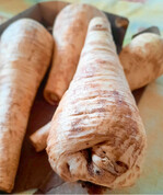 Pastinaken als fast vergessenes Wurzelgemüse bereichern den Speiseplan und sind zudem leicht zu kultivieren. Bis die geputzten Rüben auf den Teller kommen, dauert es allerdings etwas.