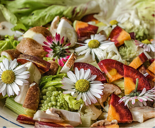 In bunte Salate passen essbare Blten wie die von Gnseblmchen fast immer
