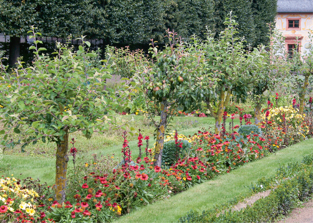 Der Prinz-Georg-Garten in Darmstadt veranschaulicht die historische Kultur von Obstbäumchen über Blumenbeeten