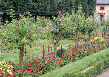 Der Prinz-Georg-Garten in Darmstadt veranschaulicht die historische Kultur von Obstbumchen ber Blumenbeeten
