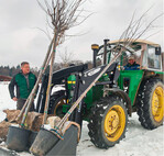 Der OGV Waldhilsbach entwickelt ein Grundstück zu einem Streuobstparadies.