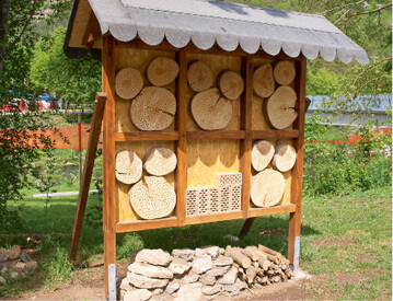  Bienenhotels frdern die Ansiedlung von Wildbienen. Sie sollten nach Sden bis Osten ausgerichtet sein und einen Regenschutz haben. Eine direkte Frderung der Insekten erfolgt auch durch Bereiche mit offenem, ungestrtem Boden und stehende Wasserstellen als Trnken. 