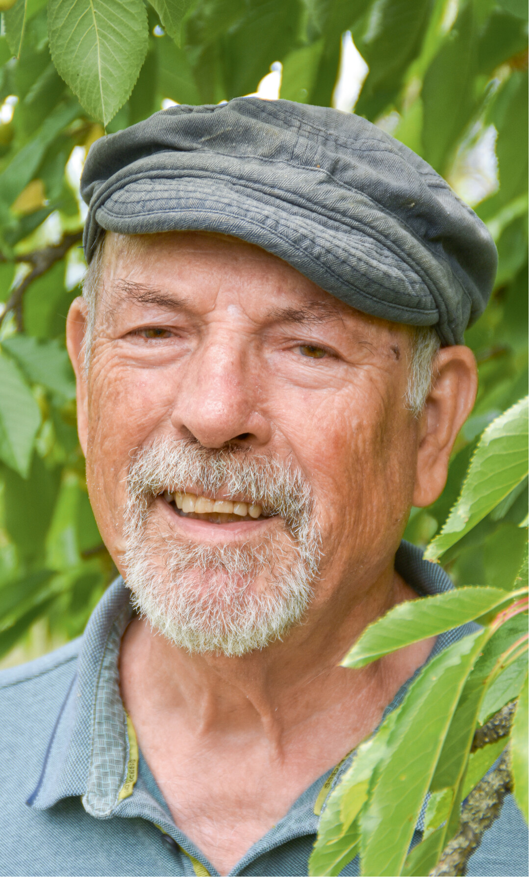 Dr. Walter Hartmann
