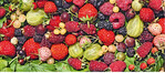 Die Auswahl aus der Fülle an Beerenobst richtet sich nach dem Standort