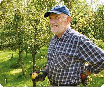 1 Meinolf Hammerschmidt  Obstkundler aus Leidenschaft