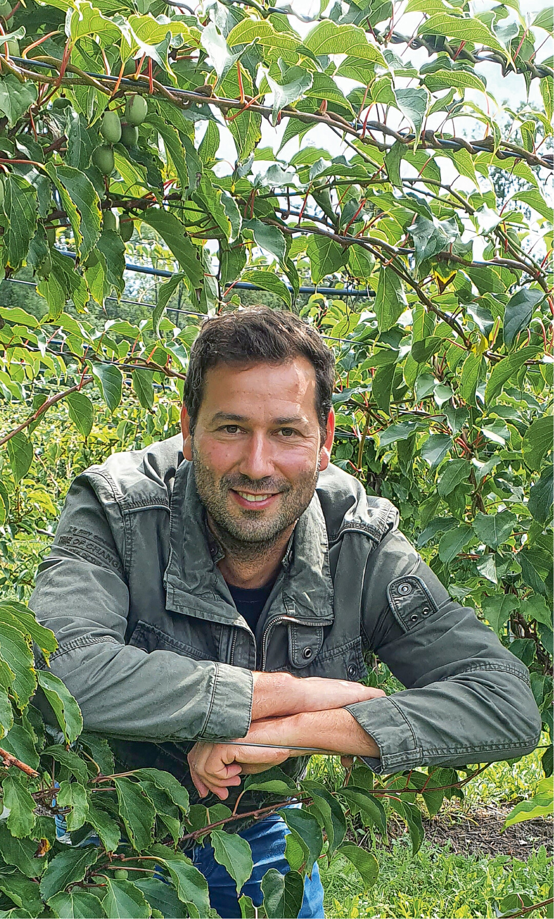 Ingo Ehrenfeld baut seit 2009 auf dem Familienbetrieb in Hardthausen an der Kocher Minikiwis an. Daneben kultiviert die Familie auf 40 ha Kernobst und auf 25 ha Grnspargel. 2021 ist der Betrieb von 3 auf 14 Festangestellte plus Familie gewachsen unter anderem wegen den vielen Ideen, die Ingo Ehrenfeld vorantreibt  darunter die Direktvermarktung der hofeigenen Minikiwiprodukte.