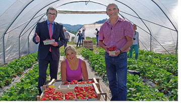 Saisonerffnung bei Kaiserwetter: (v.l.) Marcelino Expósito, Geschftsfhrer OGM Oberkirch; Josefa Marek, Pflckerin; Wendelin Obrecht, Vorstandsvorsitzender OGM Oberkirch.