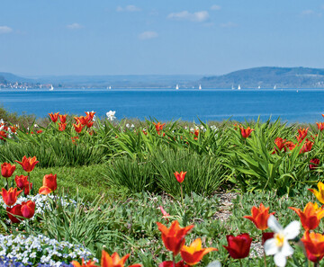  Die Landesgartenschau bietet eine einmalige Kombination aus schnen Gartenflchen und Aussichten auf den Bodensee. 