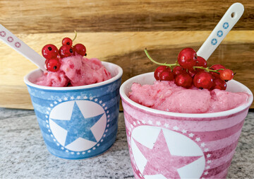 Unter Zugabe von gefrorener Buttermilch und etwas Honig zaubert der Kchenmixer ein leckeres Johannisbeer-Eis