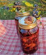 Erntezeit im Herbst: Schlehen-Feuer