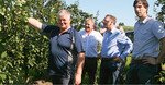 Nicht nur auf die Menge, auch auf die Qualität der Früchte wirken sich die Fröste aus. In der Zwetschgenanlage von Ingo Martin (l.) aus Meckenbeuren-Senglingen haben die Frostnächte im März und April Spuren hinterlassen. Beim Vor-Ort-Termin zur Schätzung des Schadens mit dabei waren Vertreter der Vereinigten Hagelversicherung mit Hans-Ulrich Eppler, Bezirksdirektion Stuttgart (2. v. l.), Vorstandsmitglied Thomas Gehrke/Gießen und Dr. Philipp Schönbach, Bezirksdirektion Nürnberg (r.).