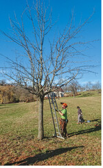 Arbeitseinsatz im Berghauser Matten: Das Naturschutzgebiet im Markgräfler Hügelland liegt am Schönberg oberhalb von Ebringen im Breisgau-Hochschwarzwald.