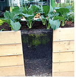 Der Substrataufbau beim Hochbeet von grob zu fein. Oben stehen die Gemüsepflanzen. Tipp: Auch im Hochbeet ist das Mulchen der Gemüsepflanzen mit pflanzlichem Mulch (Verdunstungsschutz und Nährstoffeintrag) eine sinnvolle Maßnahme.