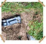 Platzierung einer Wühlmaus-Falle