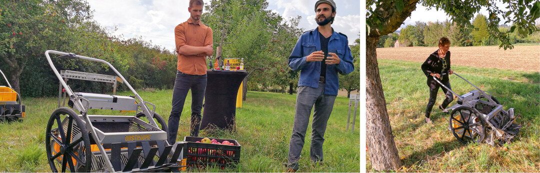 Praxiseinsatz mit Staatssekretärin Friedlinde Gurr-Hirsch: Als ein innovatives Werkzeug zur Ernteerleicherung gab es eine Obstraupe" zu bestaunen. In Kombination mit einem Sortiertisch ermöglicht das Gerät von Organic Tools" ein Aufsammeln ohne Bücken.