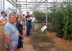 Besichtigung der Tomatenkulturen an der LVG Heidelberg
