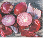 Alle Kohl- und Zwiebelgewächse enthalten antibiotisch wirkende Senföle