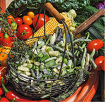 Frisches Gemüse enthält zahlreiche gesundheitsfördernde Substanzen