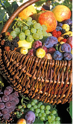 Die in frischem Obst und Gemüse natürlich vorhandenen Fruchtzuckergehalte sind für gesunde Menschen problemlos zu verdauen