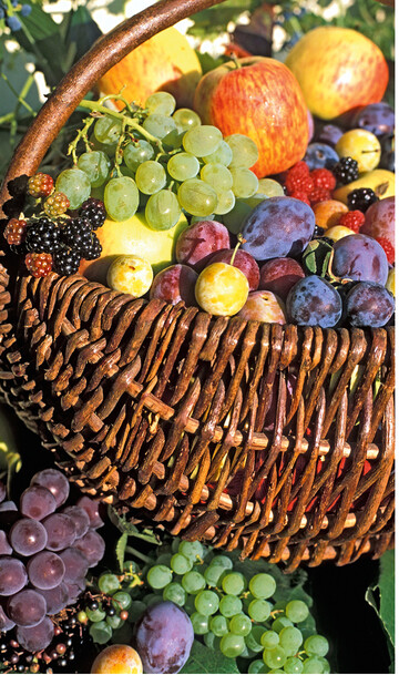 Die in frischem Obst und Gemse natrlich vorhandenen Fruchtzuckergehalte sind fr gesunde Menschen problemlos zu verdauen