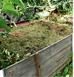 Gartenabfälle zu kompostieren ist ein Beitrag zur Kreislaufwirtschaft. Nach ca. 6 Monaten ist der Kompost zum Mulchen geeignet, als Substratzuschlag benötigt er etwa 1 Jahr. Mehrfaches Umsetzen kann den Rotteprozess beschleunigen. Ein trockener, schattiger Standort vermeidet das zu schnelle Austrocknen, gewährleistet jedoch auch, dass der Kompost durch die Niederschläge nicht zu stark vernässt. Mit der Zugabe von Kalk lässt sich der pH-Wert im Kompost erhöhen und die Geruchsbildung mindern.