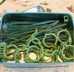 Pflanzenclips sind gut zu reinigen, um auch Pilzsporen zu beseitigen. Am besten machen Sie das jetzt gleich nach Kulturende.