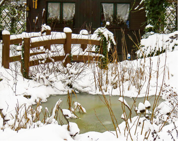 Winterharte Schwimmpflanzen wie Seerosen drfen im Teich bleiben, sofern er mindestens 80 cm tief ist und damit in der Regel nicht bis zum Boden durchfrieren kann. Pflanzen, die im Sommer in flacheren Randbereichen stehen sollen, am besten in Krbe setzen und im Winter in tiefere Zonen rcken.