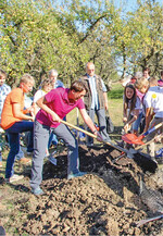 Baumpflanzaktion einer Knausbirne im Museumsdorf mit der KV-Vorsitzenden Sigrid Jetter (l.) und Dr. Marion Leuze-Mohr (2.v.l.), Erste Landesbeamtin des LRA Esslingen.
