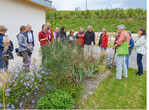 Blütenpracht vor der Haustür: Im Anschluss wurden Staudenbeete begutachtet.